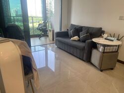 Normanton Park (D5), Apartment #502211961